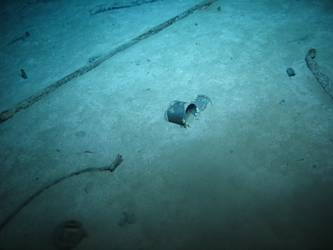 Paint tin and lid on seabed